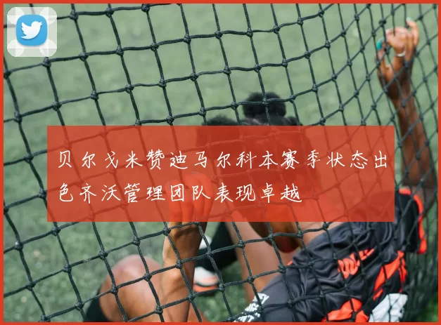 贝尔戈米赞迪马尔科本赛季状态出色齐沃管理团队表现卓越